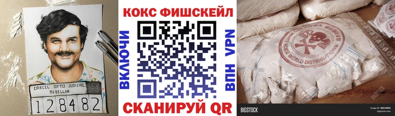 COCAIN FishScale  купить  сайты  Вологда 