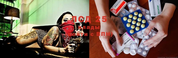 эйфоретик Магас
