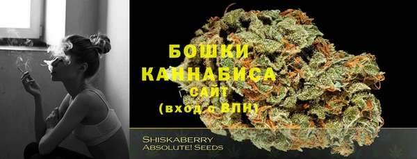 сатива Лихославль
