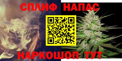 дживик Бийск