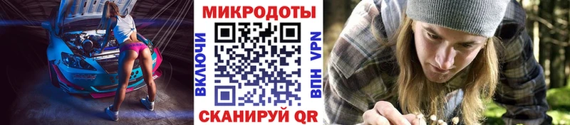 Псилоцибиновые грибы мухоморы Вологда