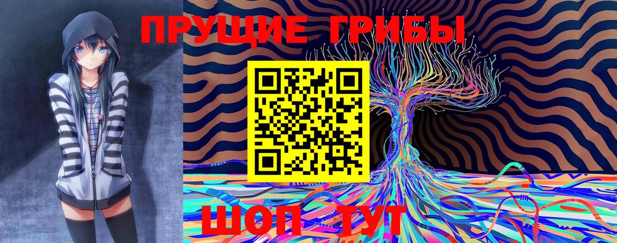 Вологда  Псилоцибиновые грибы прущие грибы  наркота  Вход с VPN 