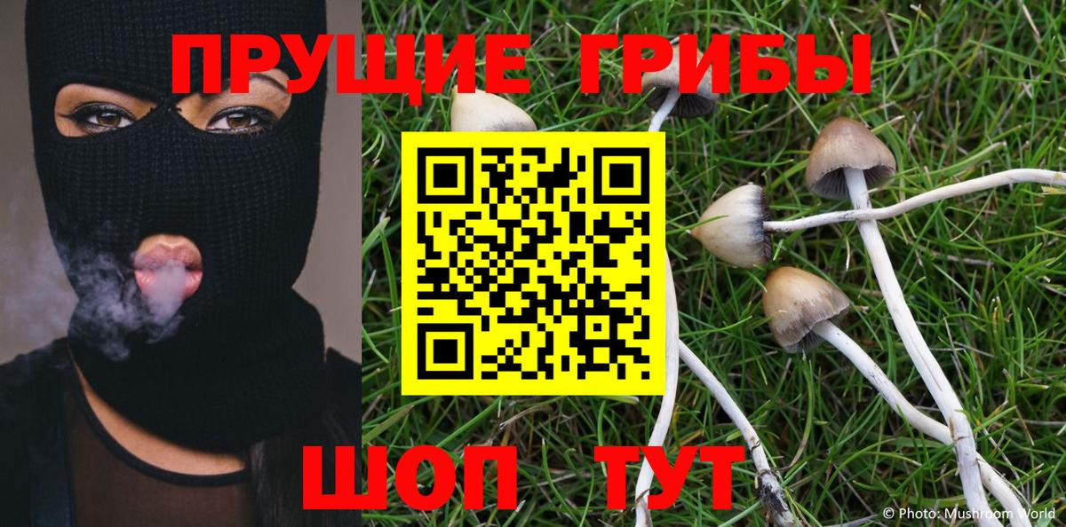 Галлюциногенные грибы Cubensis Вологда