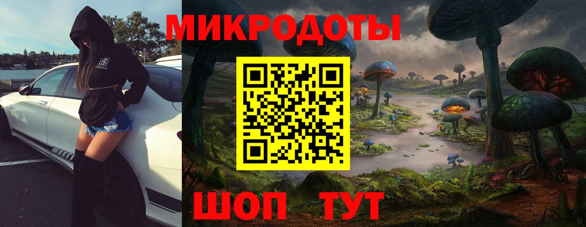 Псилоцибиновые грибы мухоморы  Вологда  Псилоцибиновые грибы Psilocybe 