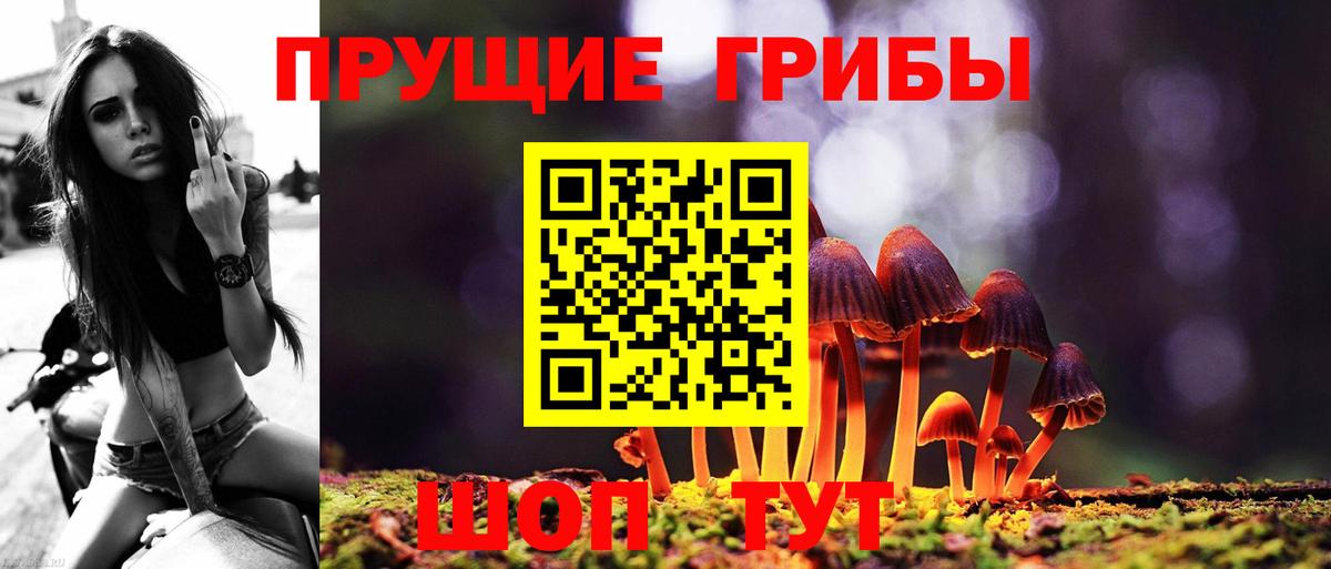 Галлюциногенные грибы мухоморы Вологда